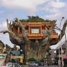 les-restaurants-les-plus-insolites-dans-le-monde-003 thumbs les restaurants les plus insolites dans le monde 003 Les restaurants les plus insolites dans le monde (45 photos)
