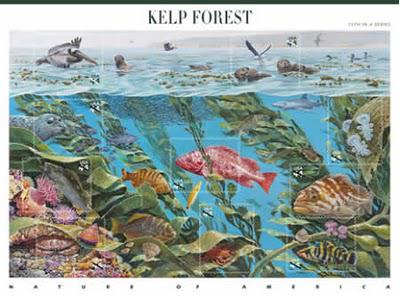Forêt de kelp et Expressionnisme abstrait aux USA