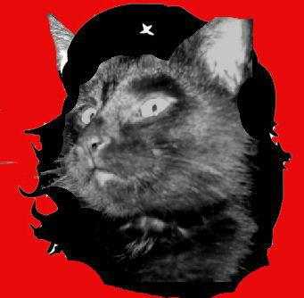 Chat Guevara Chat Guevara
