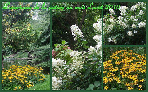 luxuriance-de-la-nature-au-mois-d-aout.jpg