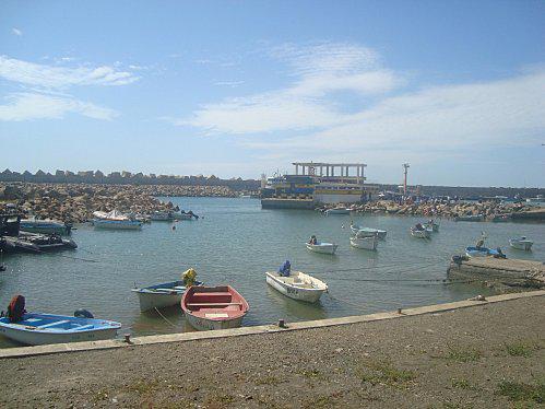 COUCOU DSC08816
