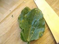 Pêle-mêle de cueillettes gourmandes Pêle-mêle de cueillettes gourmandes