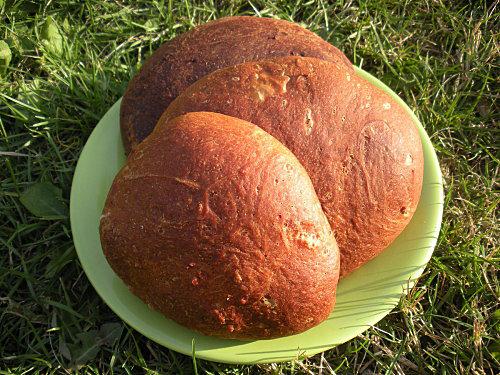 ON NE M'ARRETE PLUS...BRIOCHETTES DSCN4061.JPG