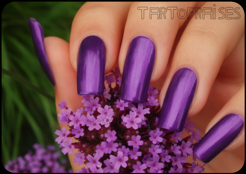 Debby - 78 http://tartofraises.nailblogs.net/vernis/debby78/debby_78%20008.png