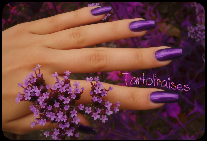 Debby - 78 http://tartofraises.nailblogs.net/vernis/debby78/debby_78%20010.png