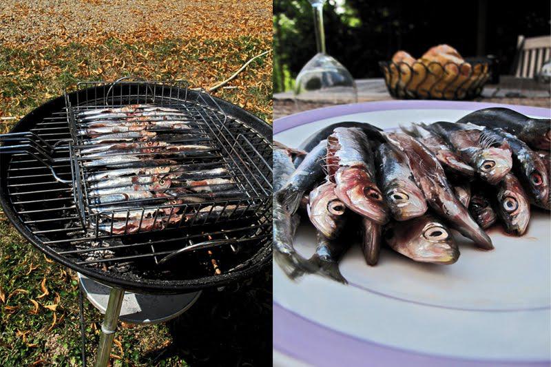 Déjeuner marin à la campagne Déjeuner marin à la campagne