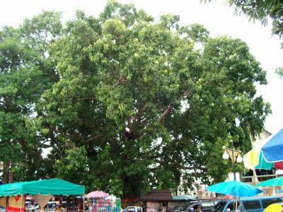 Sur les rives du Mekhong,Mukdahan! Sur les rives du Mekhong,Mukdahan!