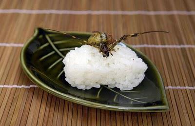 insectsushi02.jpg
