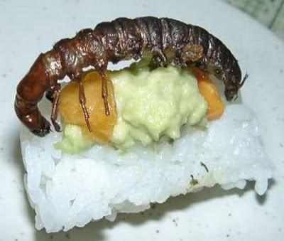 insectsushi10.jpg