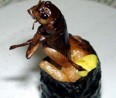 insectsushi14.jpg