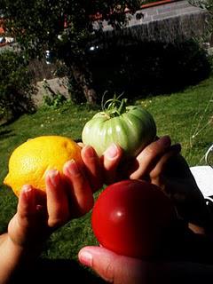 Summertime 2#7 pour Mulot Summertime 2#7 pour Mulot