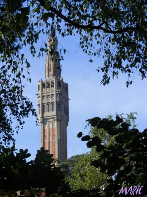 Lille vue du Beffroi Lille vue du Beffroi