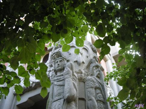 Lille vue du Beffroi Lille vue du Beffroi