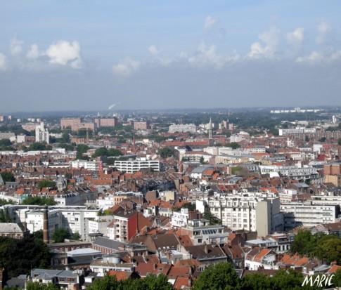 Lille vue du Beffroi Lille vue du Beffroi