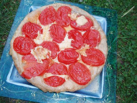 Tarte tatin de tomates à la mozzarella P7310022