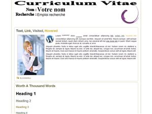 Theme wordpress CV