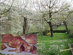 Pommes en brioche brioche-aux-pommes.jpg