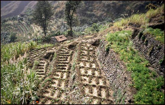 Cratère de Cova et village de Passagem cap-vert-champs-en-terrasse.1277285807.jpg