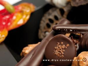 fondecran1024x768-dlys-couleurs1 fondecran1024x768-dlys-couleurs1