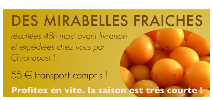 Des mirabelles fraiches livrees partout en France !