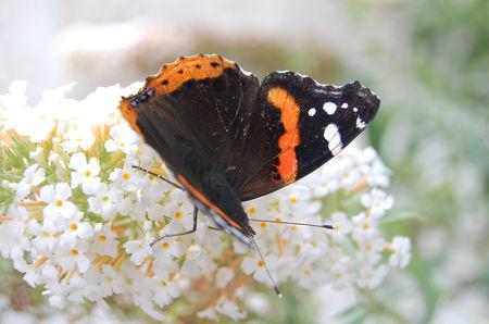 Impressionisme DSC_0834