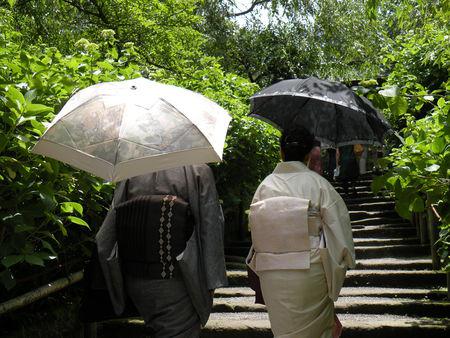 Une journée à Kamakura : au Meigetsu-in, l'Ermitage de la Lune Brillante ... DSCN5027