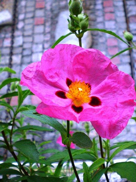 have a break CIMG7416.JPG