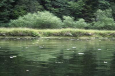 Tourisme en Helvétie Le Doubs au départ de La Maison-Monsieur La Chaux-de-Fonds Suisse