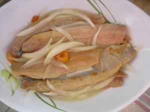 mini-artimage_425895_2844314_201007244025394 HARENGS MARINES – de Nouschka