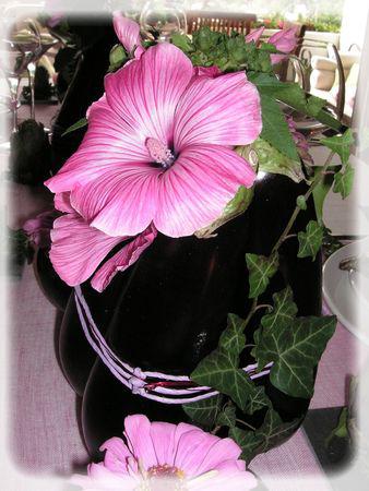 J'aime pas les aubergines...mais je les trouve très jolies... aubergines_002_modifi__1