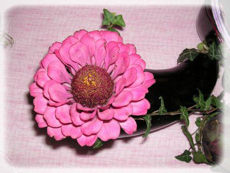 J'aime pas les aubergines...mais je les trouve très jolies... aubergines_012_modifi__1