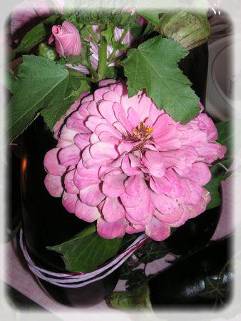 J'aime pas les aubergines...mais je les trouve très jolies... aubergines_013_modifi__1