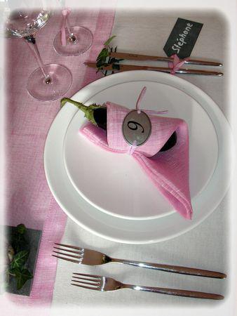 J'aime pas les aubergines...mais je les trouve très jolies... aubergines_016_modifi__1