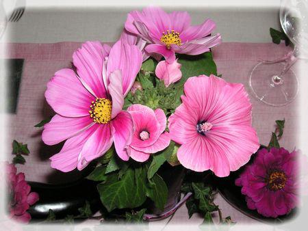 J'aime pas les aubergines...mais je les trouve très jolies... aubergines_014_modifi__1