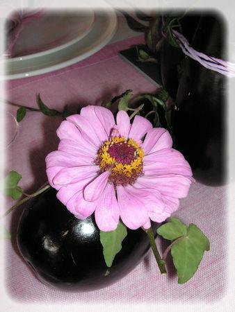 J'aime pas les aubergines...mais je les trouve très jolies... aubergines_019_modifi__1