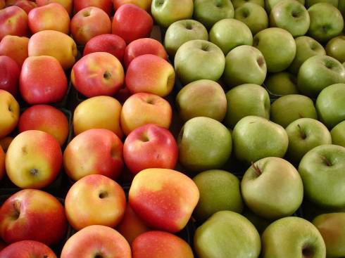 Le bio et les  « kilomètres alimentaires »
