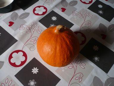 Cuisine expérimentale photo_potimarron