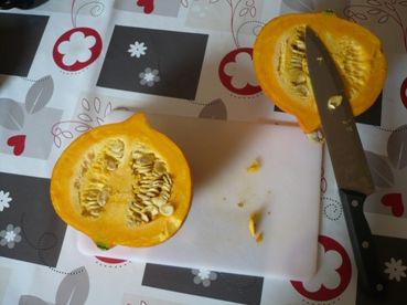 Cuisine expérimentale photo_potimarron_en_deux