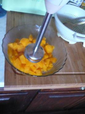 Cuisine expérimentale photo_potimarron_mixer