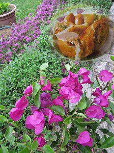 Poulet rôti au thym et à l'ail poulet-roti-thym.jpg