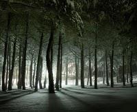 La (vraie?) Religion La (vraie?) Religion