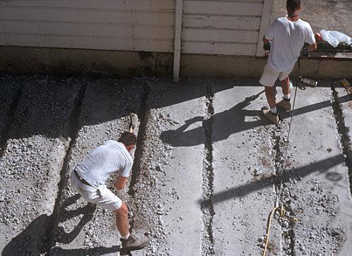 Tabanou - Crack garden - écologie sociale - Fontenay-sous-Bois 235-3.jpg