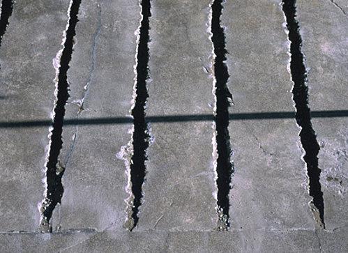 Tabanou - Crack garden - écologie sociale - Fontenay-sous-Bois 235-4.jpg