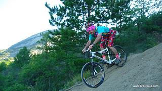 Ronde des Vignes... la galerie Ronde des Vignes... la galerie