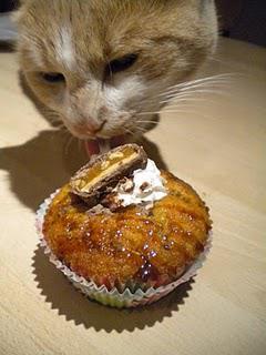 Un dernier petit cupcake avant de partir me faire dorer le topping ^^ Un dernier petit cupcake avant de partir me faire dorer le topping ^^