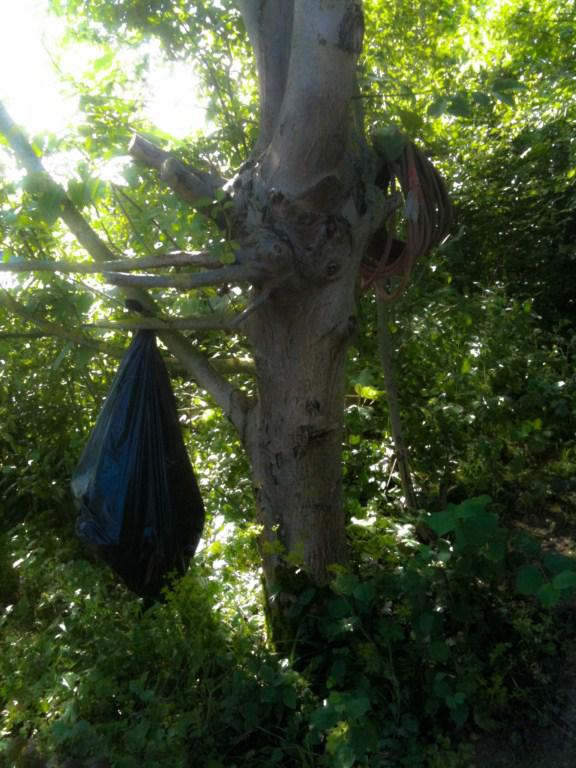 T’as-t’y ton vélo ? 150-1024x768.1282248898.jpg