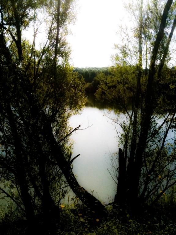 T’as-t’y ton vélo ? 146-1024x768.1282251399.jpg