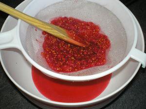 Tiramisu aux groseilles 41192091_p