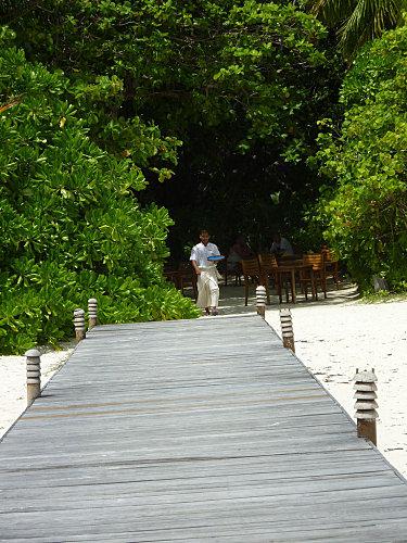 Ile coco palm dhuni kolhu serveur maldivien