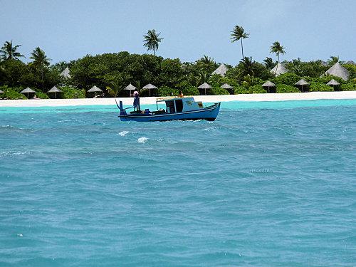 Ile coco palm dhuni kolhu Pecheurs